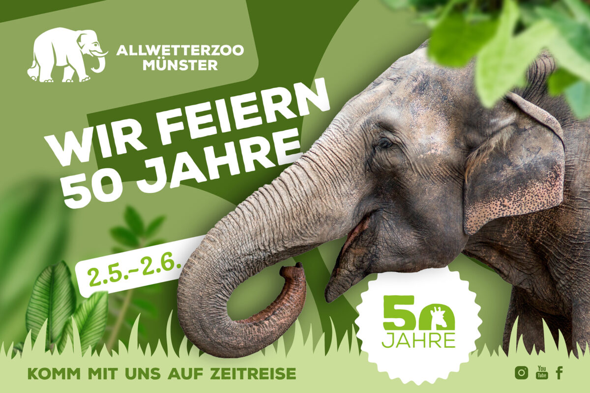 Anzeige vom Allwetterzoo Münster zum 50-jährigen Jubiläum