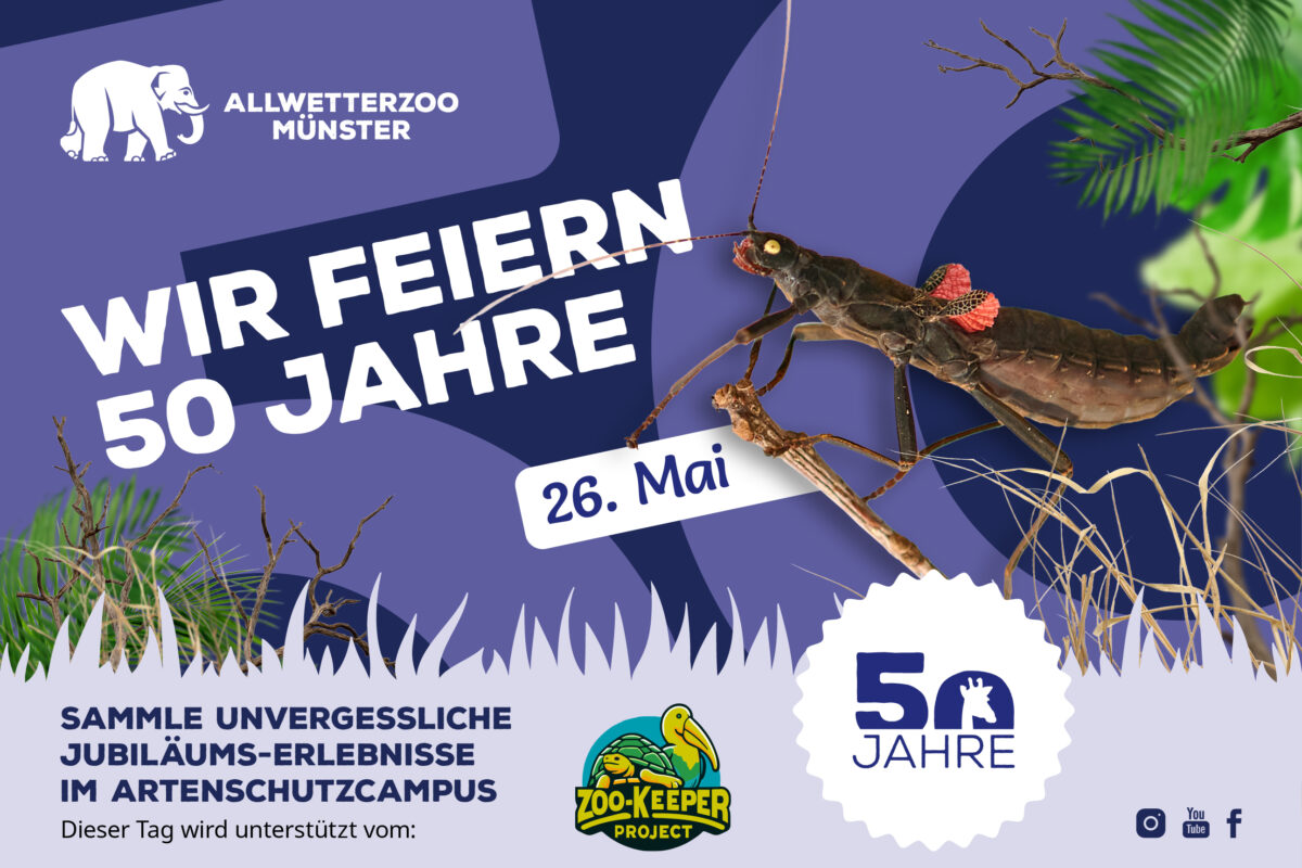 Anzeige des Allwetterzoos Münster zum 50-jährigen Jubiläum
