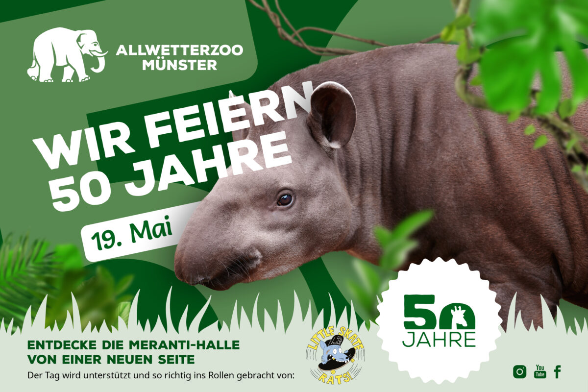 Anzeige des Allwetterzoos Münster zum 50-jährigen Jubiläum