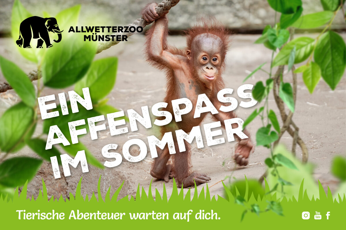 Anzeige vom Allwetterzoo Münster