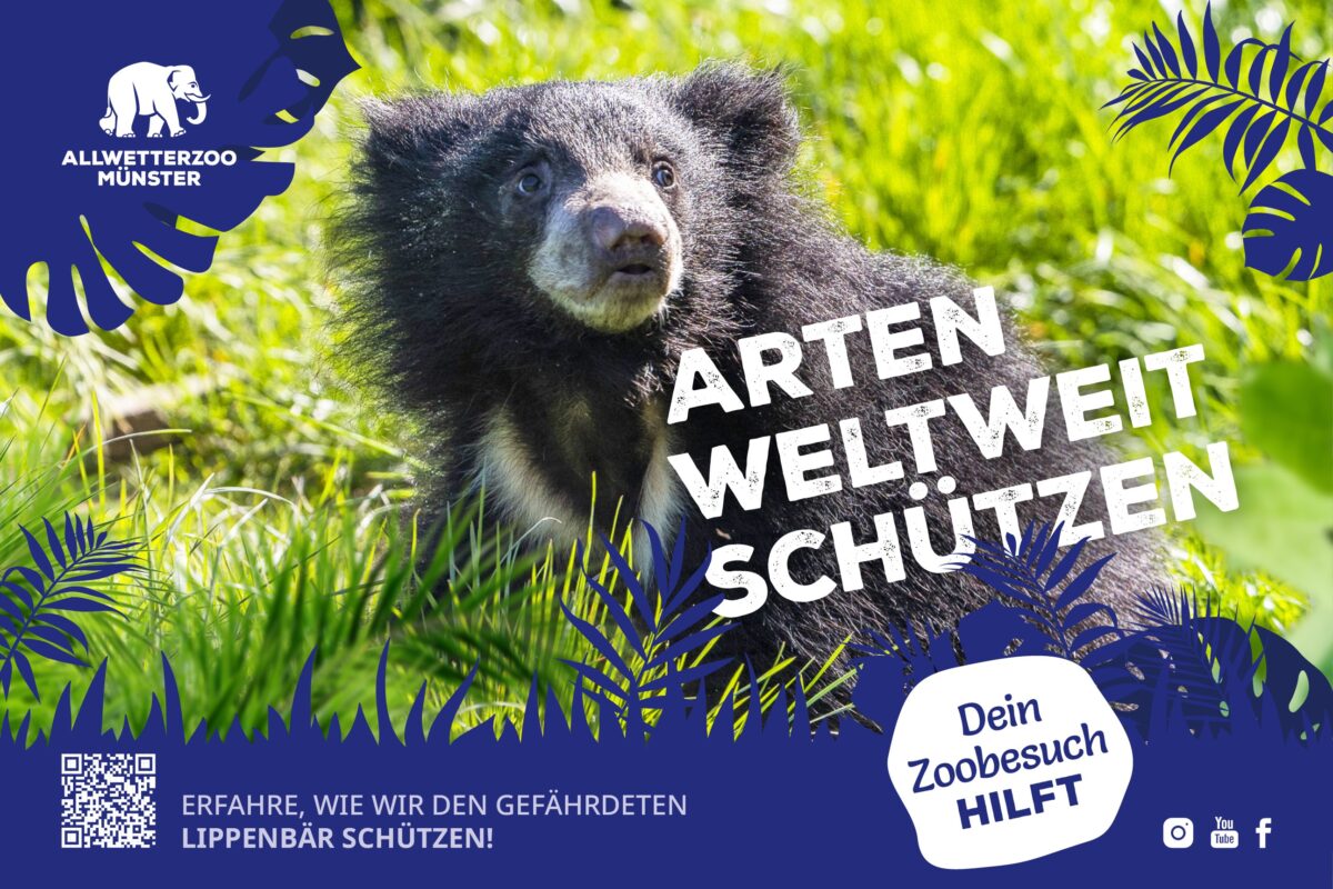 Anzeige vom Allwetterzoo