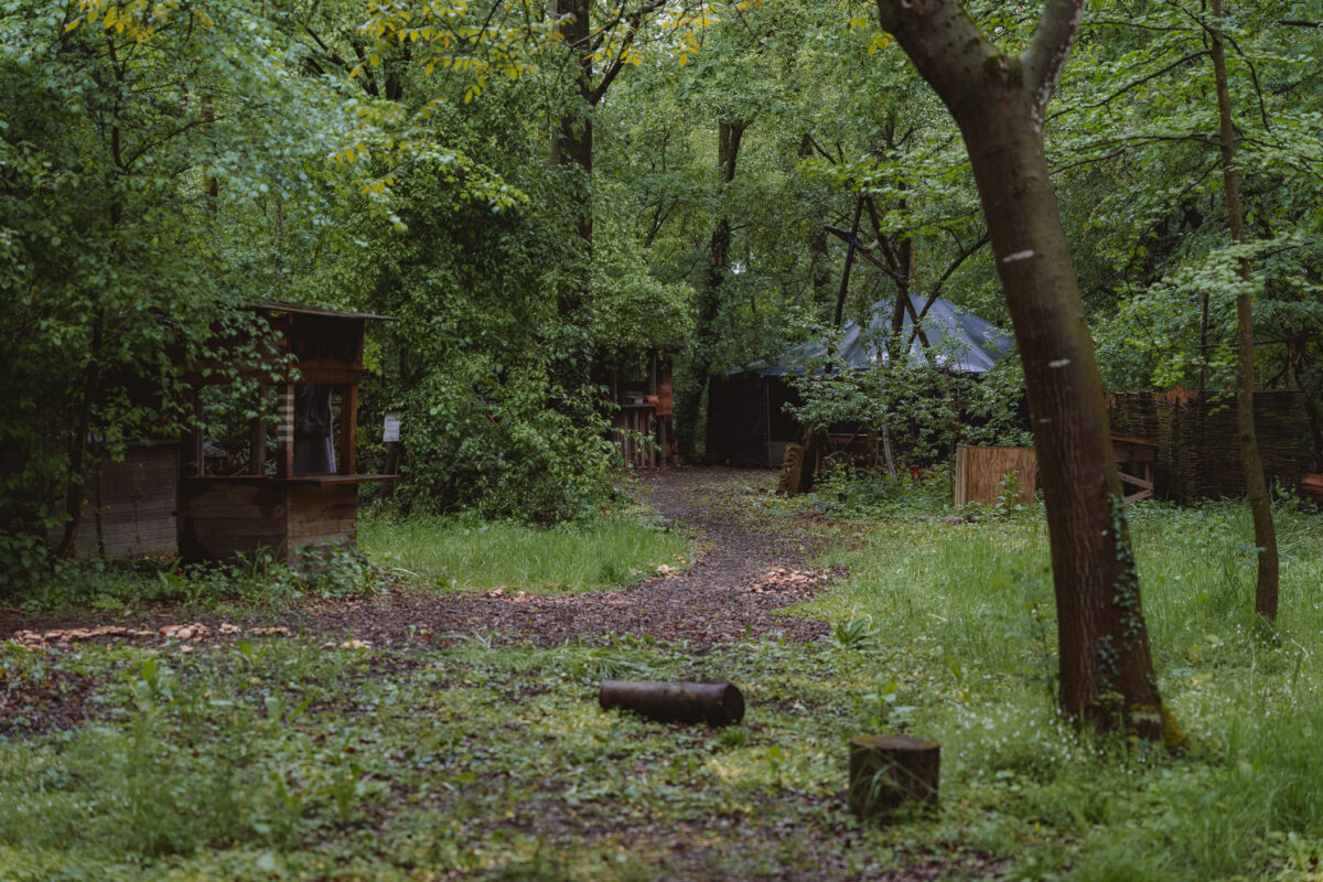 Das Seminargelände des Waldseminars