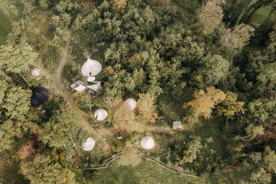Die Zelte des Waldcamps stehen im Teutoburger Wald
