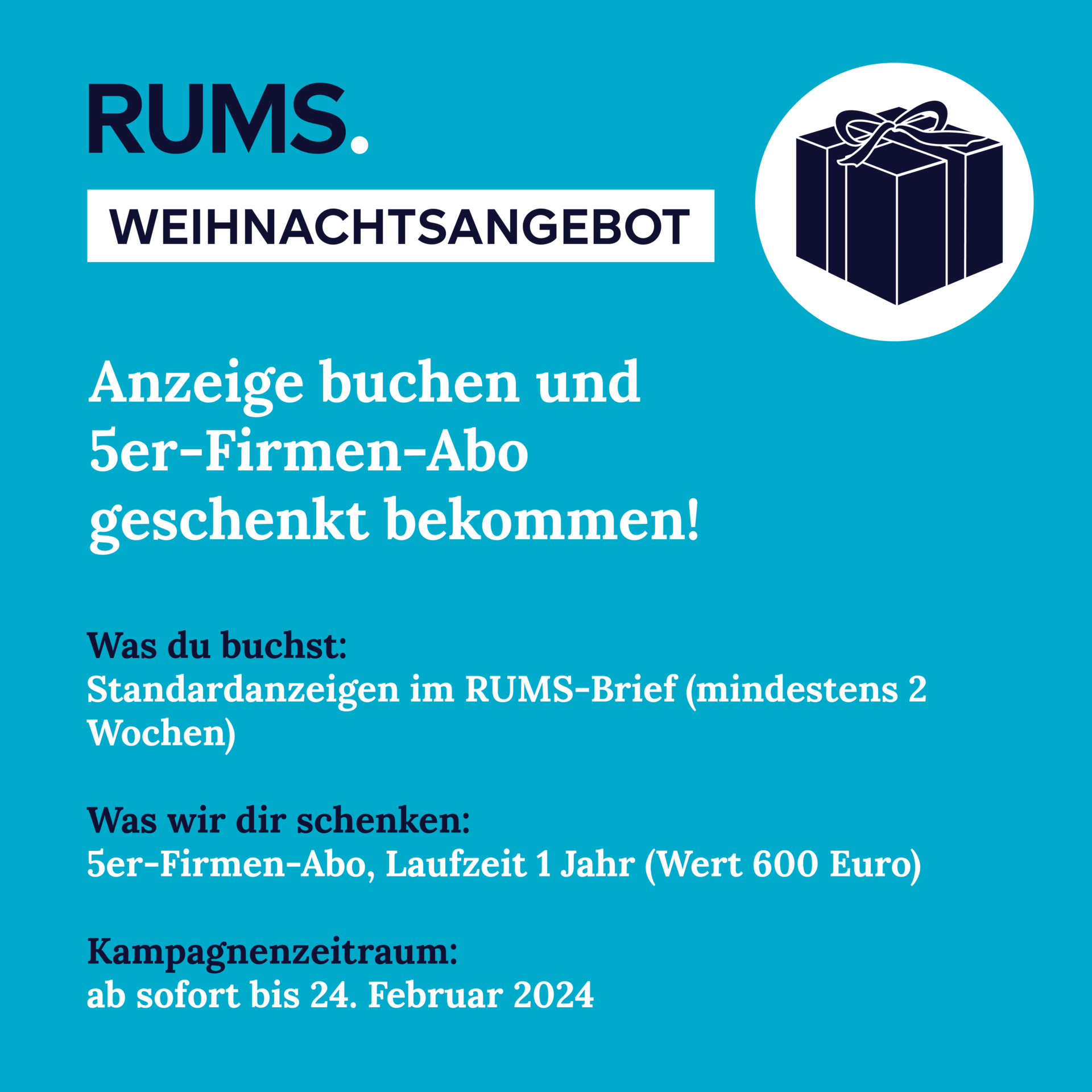 Werbekachel Instagram (Weihnachtsangebot)
