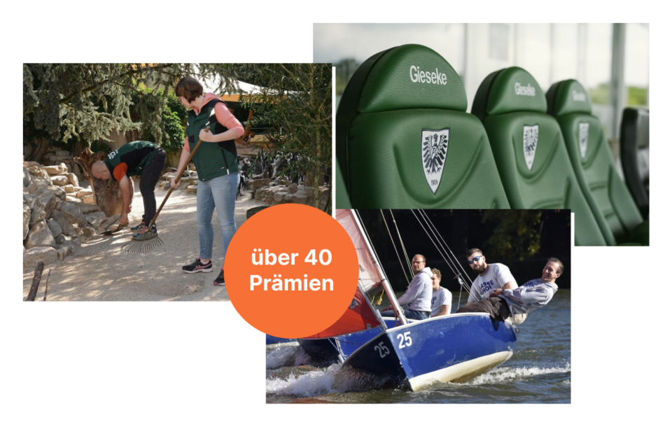 Fotocollage, die ein Bild aus einem Tiergehege, einem Segelboot und einem Logen-Platz im Preußen-Stadion zeigt.