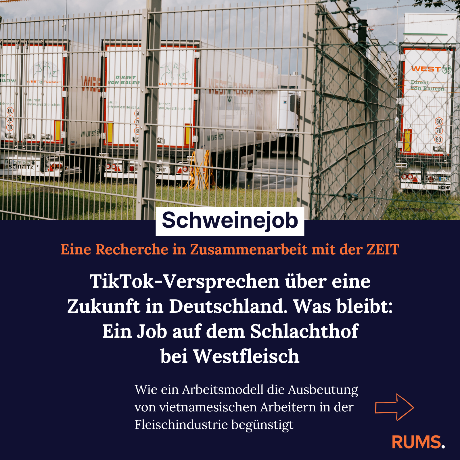 2026-02-04_instagram_brief_grafik_westfleisch