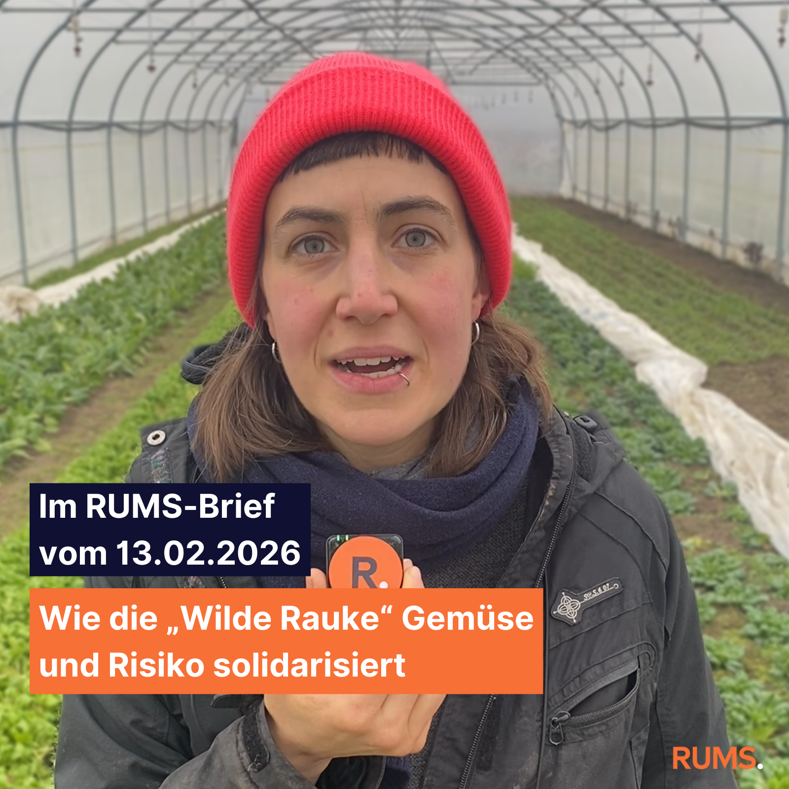 Brief vom 13.02.2026 - „Uns geht es nicht nur ums Gemüse“ 2026-02-13_instagram_grafik_reel_wilde-rauke