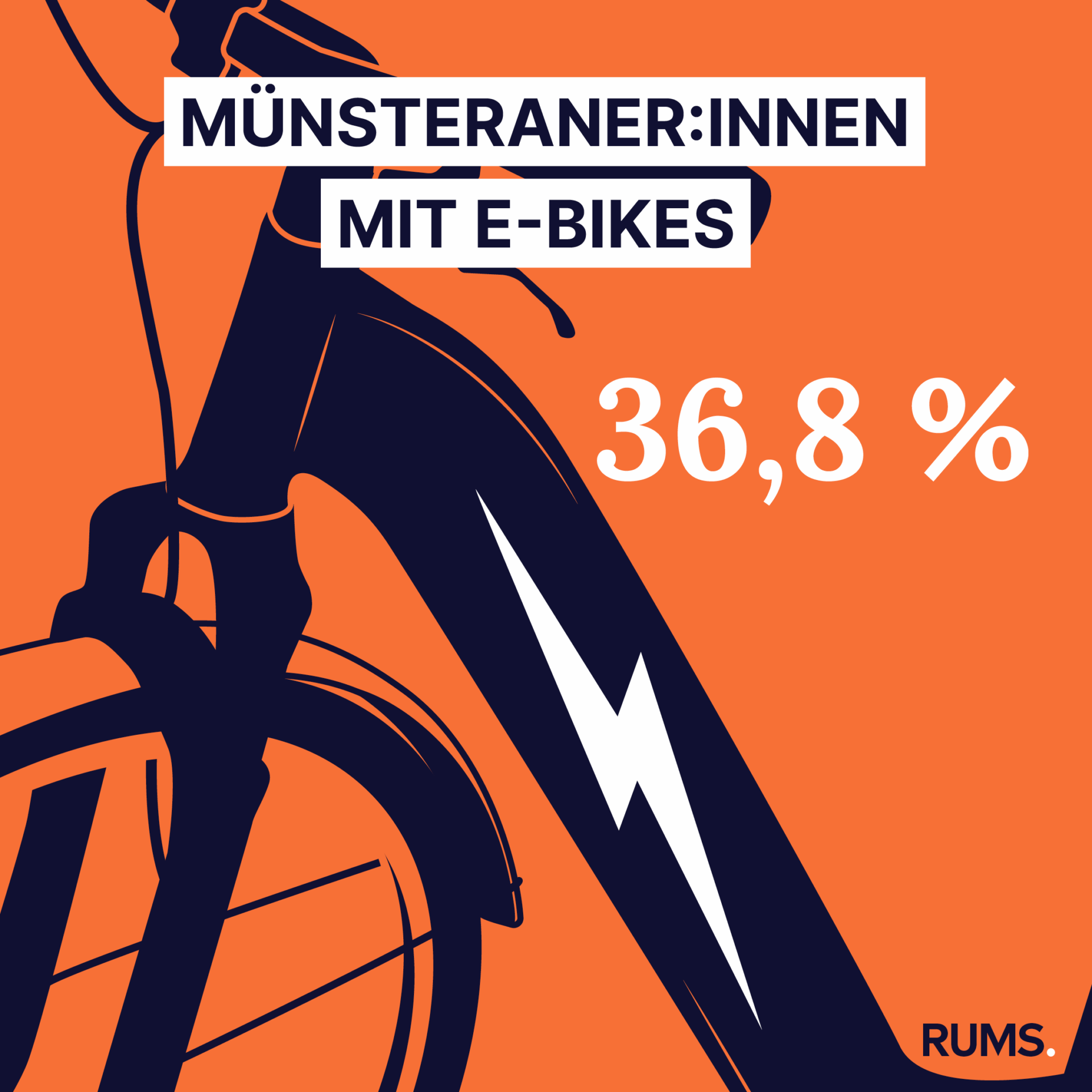Infografik vom 13.02.2026 - E-Bikes 2026-02-18_infografik_rums-e-bikes