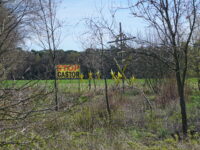 Schild mit der Aufschrift "Stop Castor" neben dem Zwischenlager in Ahaus.
