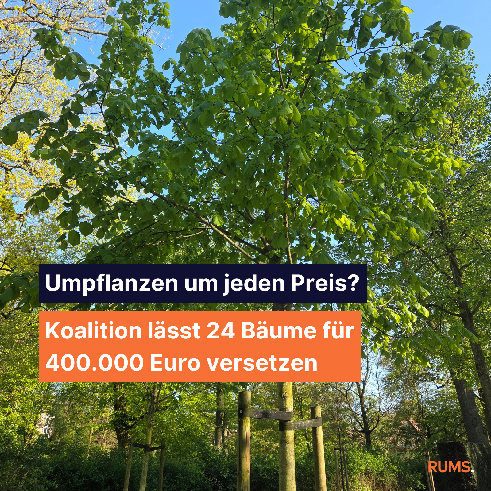 2026-04-22_instagram_grafik_kolumne_platanen