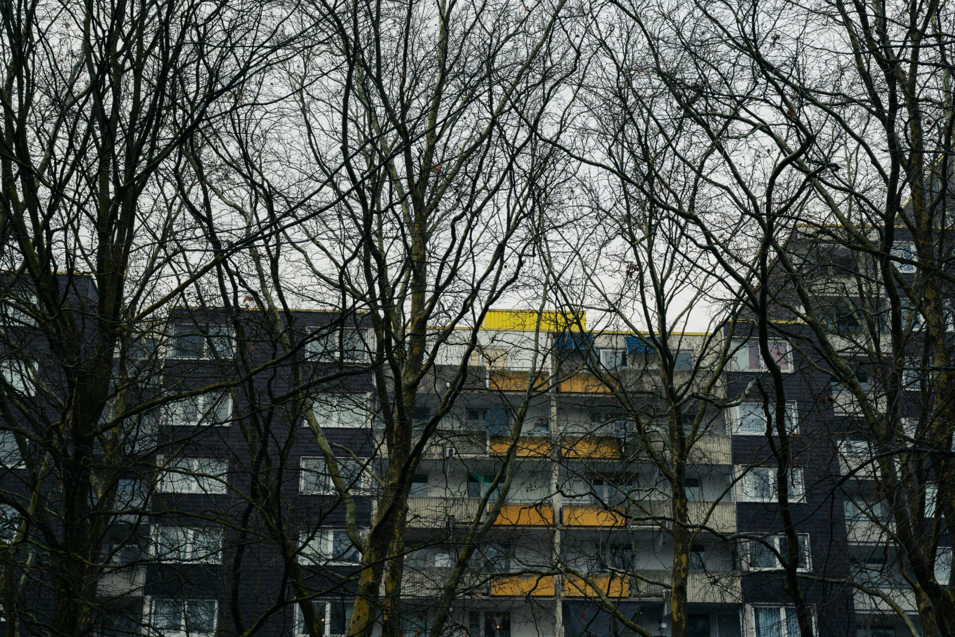 Hochhäuser, davor nackte Bäume