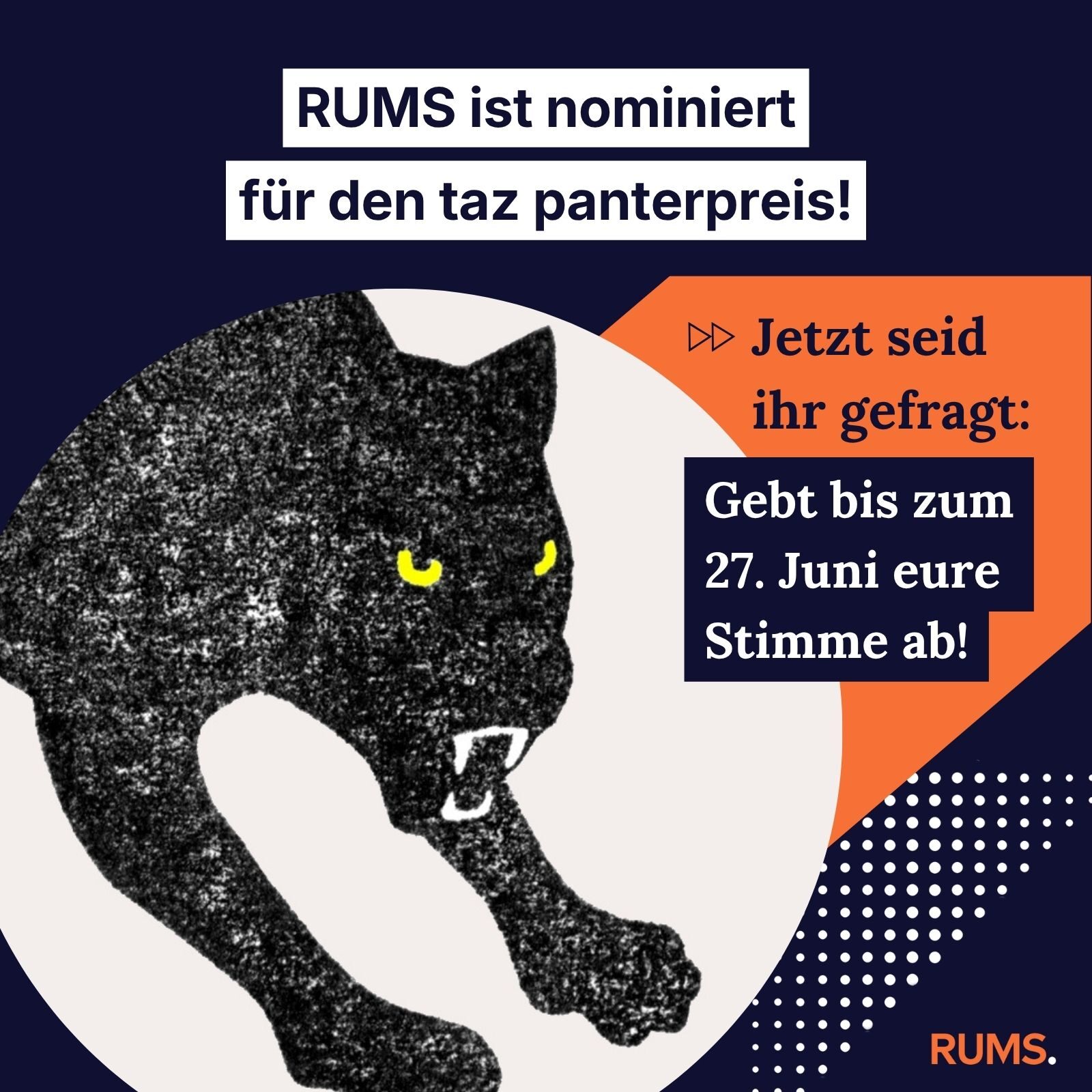 Nominierung taz panterpreis 2026 2026-06-08_instagram_grafik_taz-panterpreis