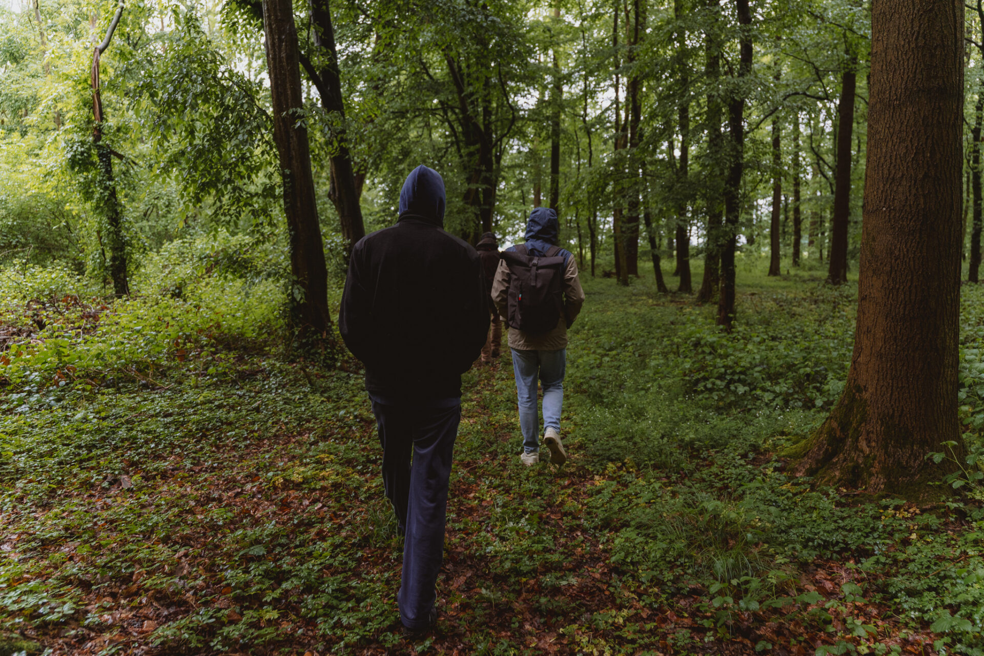 Zwei Personen auf dem Weg zum Wald-Seminar