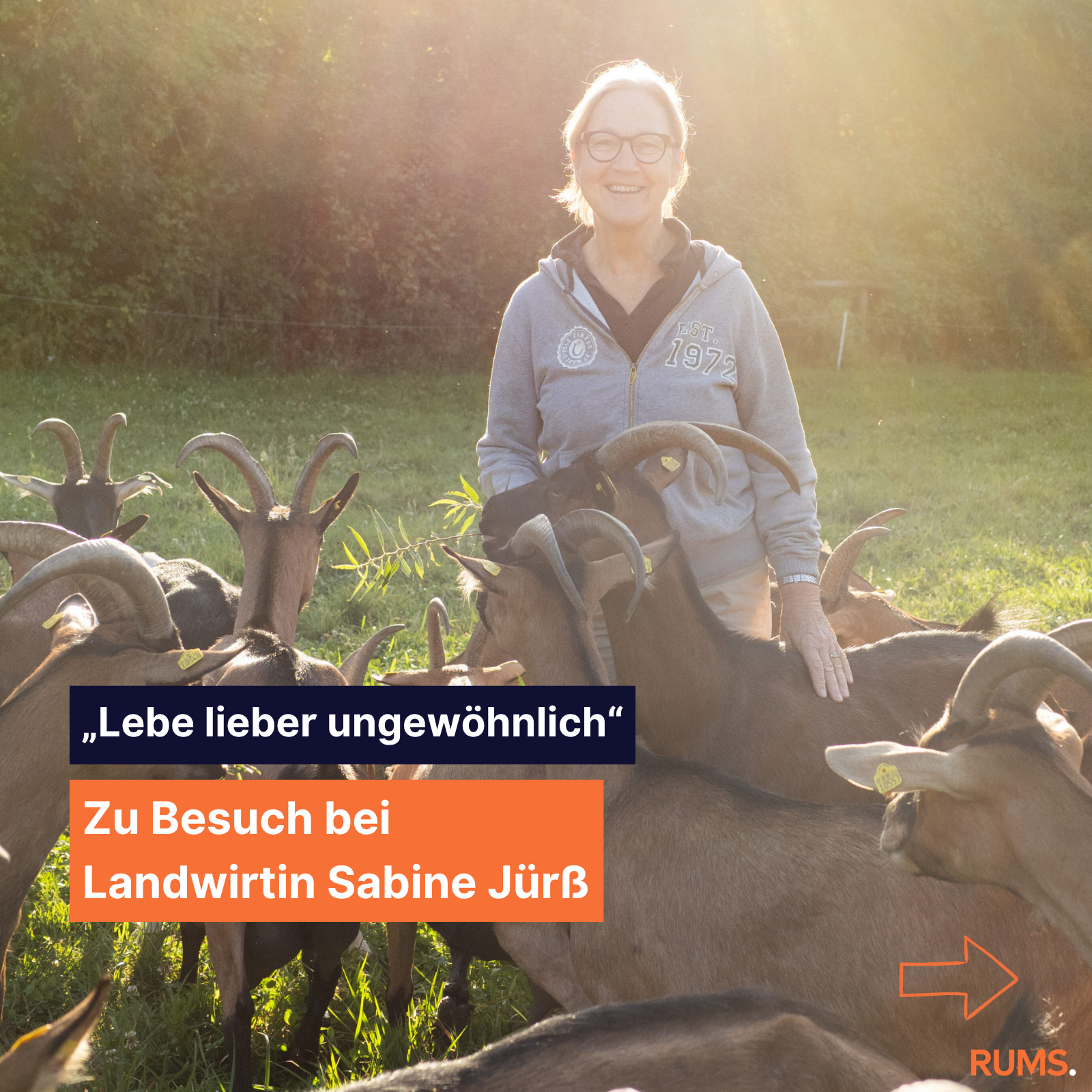 2026-08-21_instagram_grafik_beitrag_scellebelle